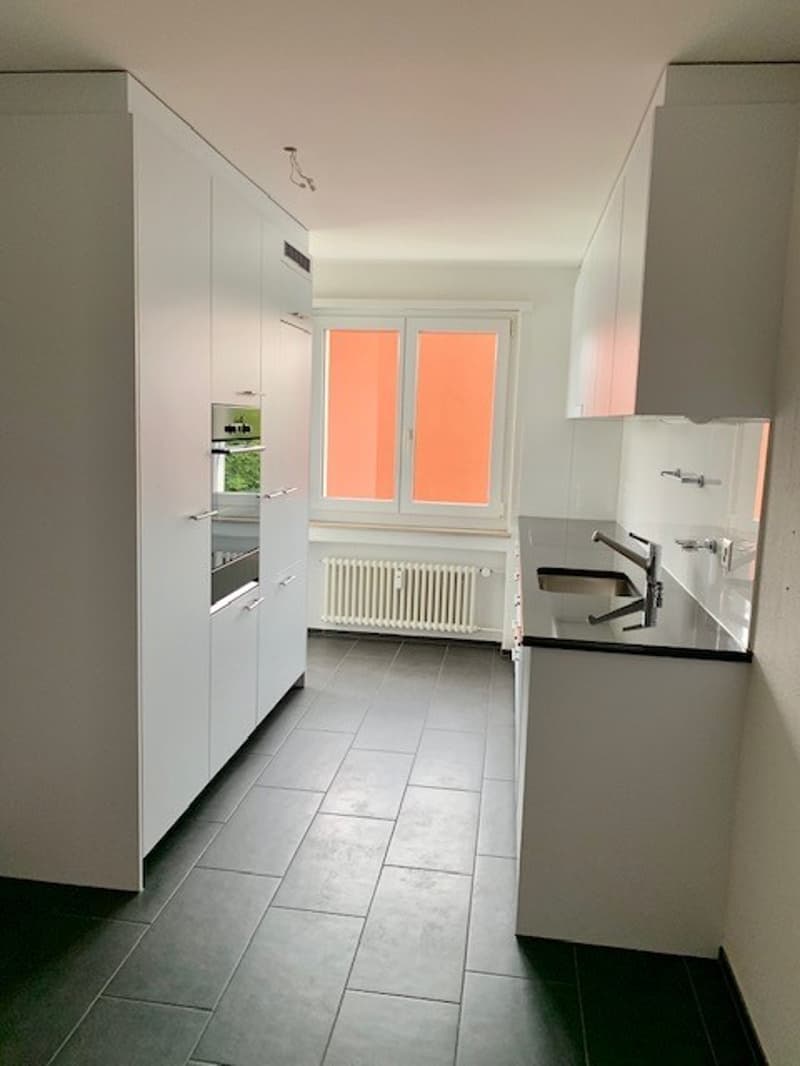 Grosszügige 6.5 Zimmer-Wohnung in Winterthur-Seen (2)