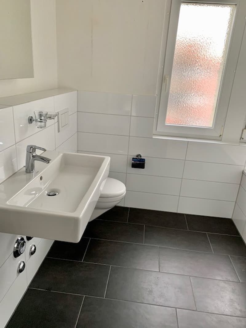 Grosszügige 6.5 Zimmer-Wohnung in Winterthur-Seen (6)