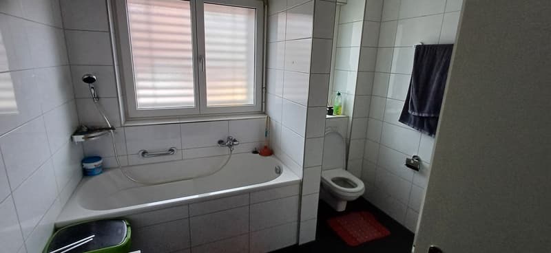 moderne 4-Zimmerwohnung auf dem Land (8)
