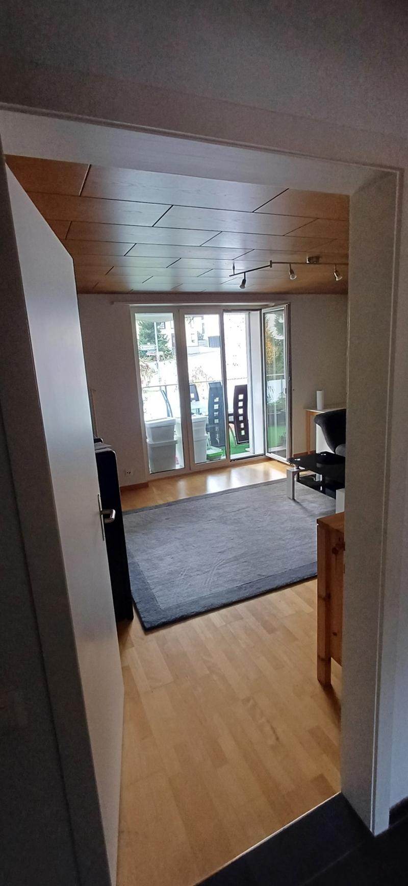 moderne 4-Zimmerwohnung auf dem Land (5)
