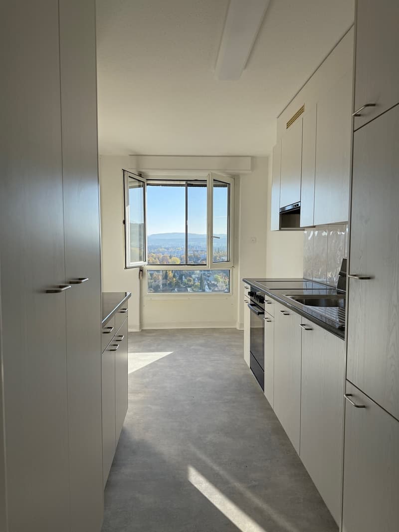 3 Zimmer-Wohnung, 8404 Winterthur (6)