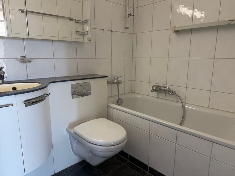 3 Zimmer-Wohnung, 8404 Winterthur (8)