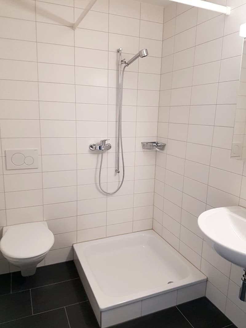 4 ½ Zimmer-Wohnung, 8630 Rüti ZH (6)