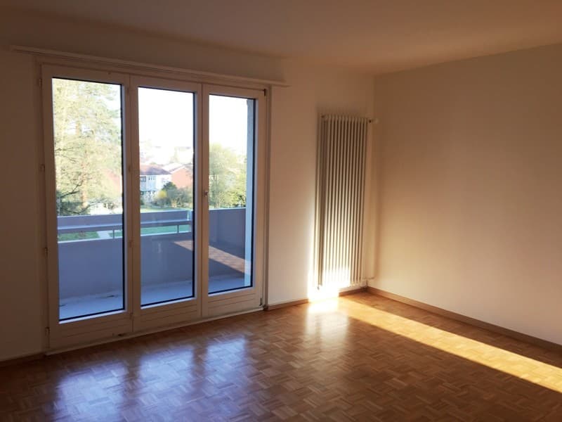 3 Zimmer-Wohnung, 8404 Winterthur (2)