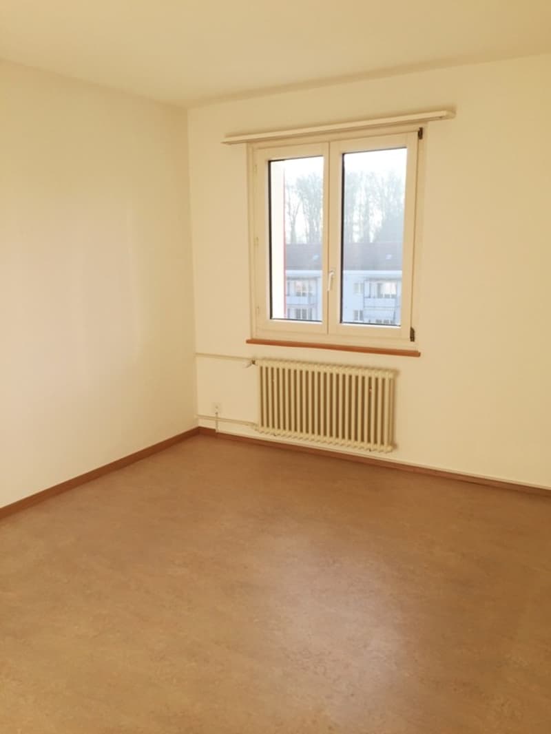 3 Zimmer-Wohnung, 8404 Winterthur (3)