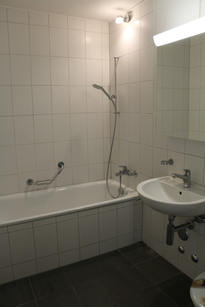 Schöne Wohnung mit Autobahnanschluss (4)