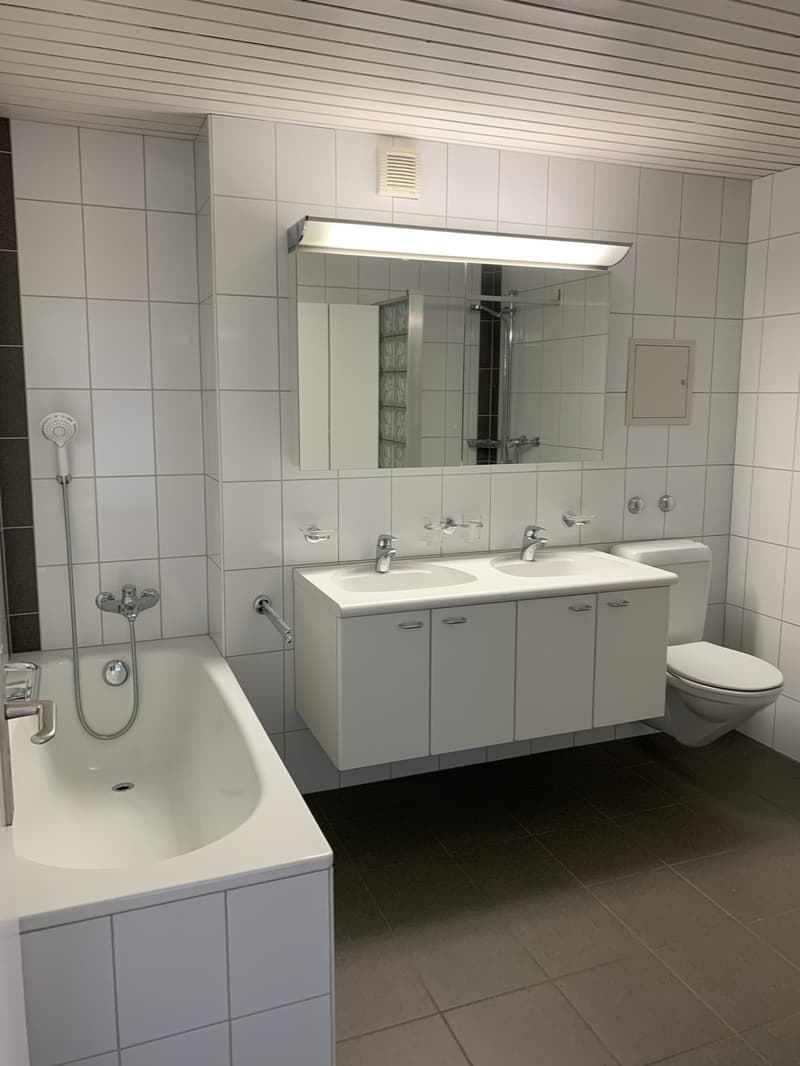 zentral gelegene 3,5 Zimmerwohnung (6)