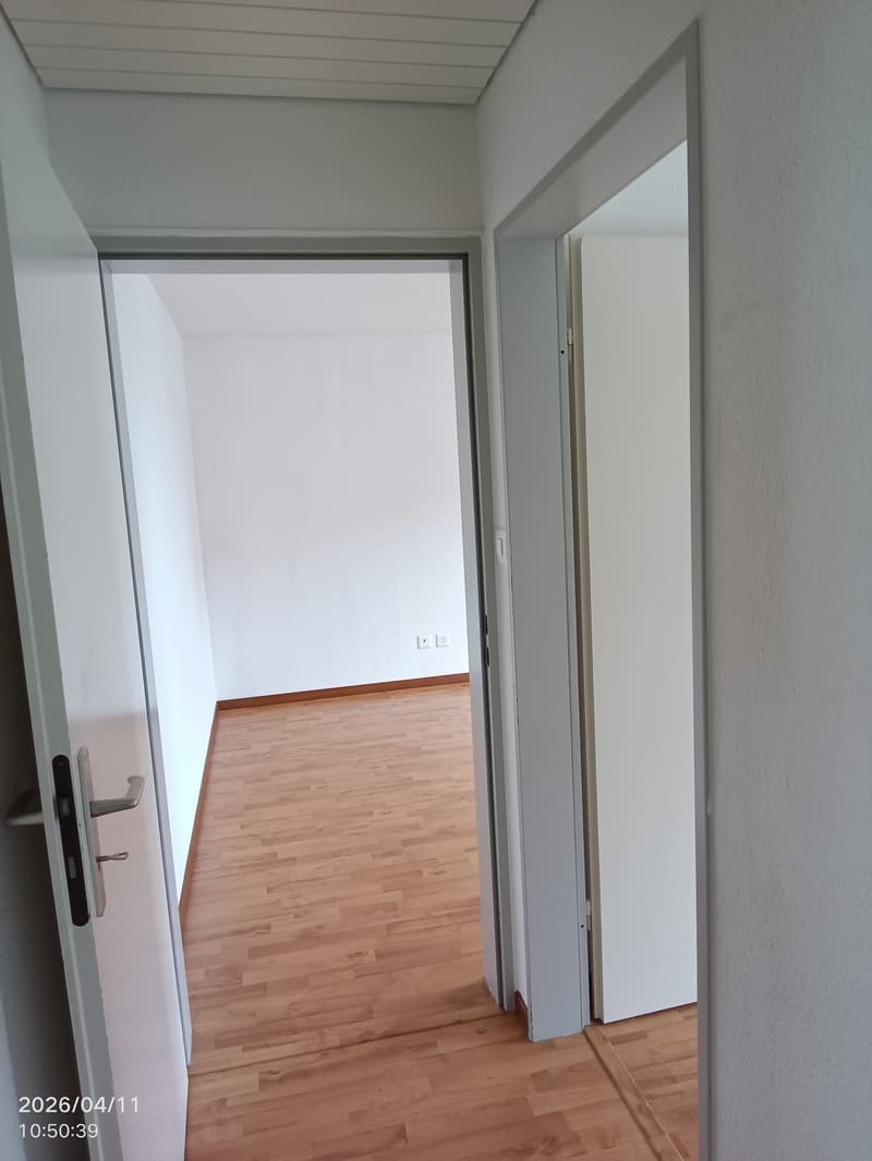 zentral gelegene 3,5 Zimmerwohnung (9)