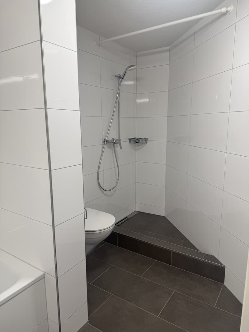 Zentral wohnen: 3.5-Zimmerwohnung in St. Gallen (6)