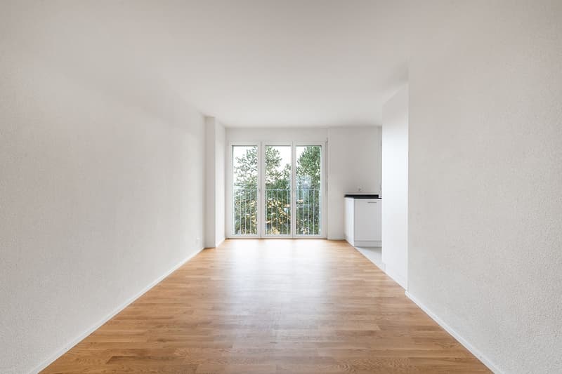 Frisch sanierte 3.5-Zimmer-Wohnung am Stadtrand von Oberwinterthur (3)