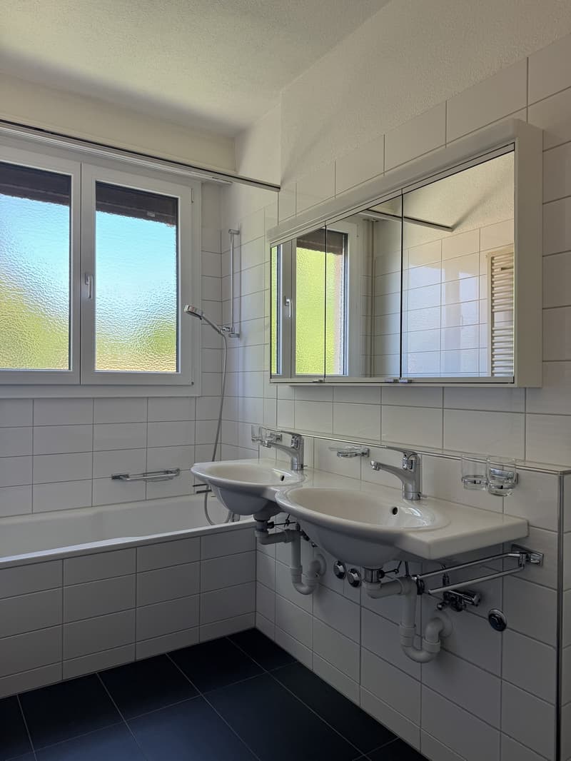 3-Zimmerwohnung in Zürich-Wollishofen (5)