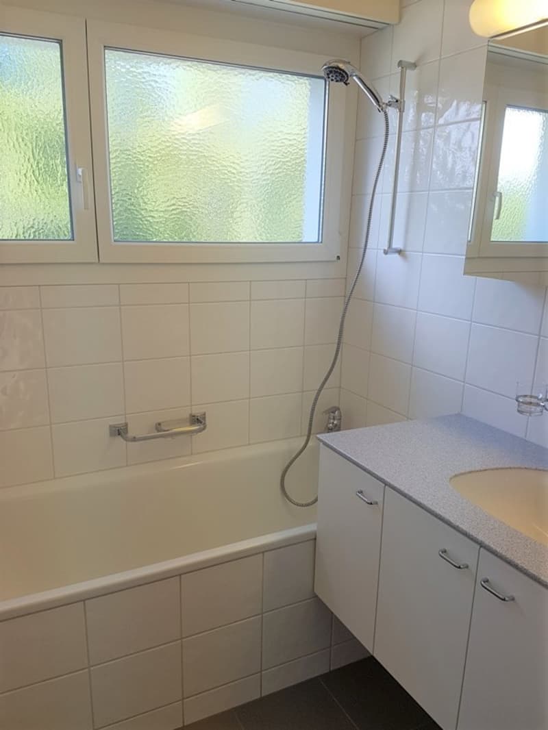 Gemütliche 3.5-Zimmer-Wohnung am Waldrand von Dättnau (4)