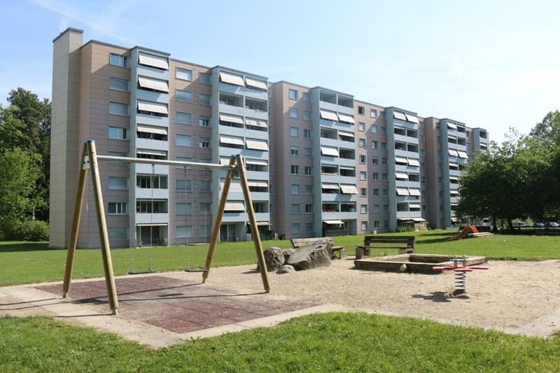 Gemütliche 3.5-Zimmer-Wohnung am Waldrand von Dättnau (1)