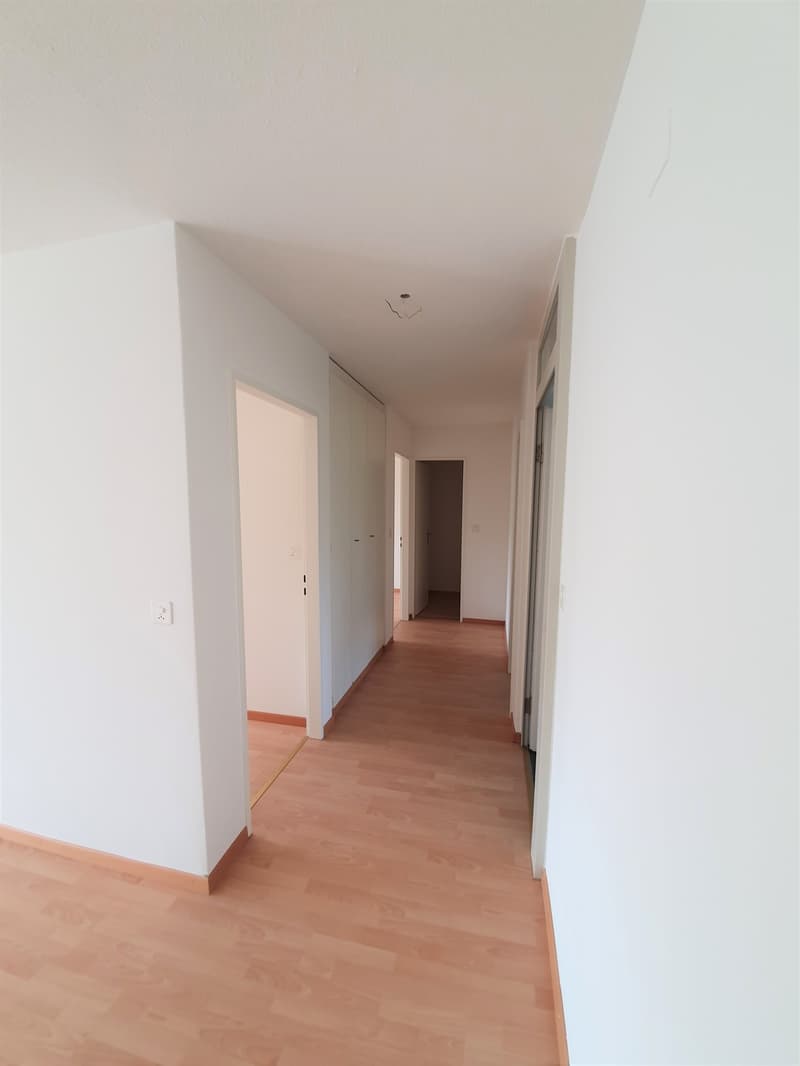 Gemütliche 3.5-Zimmer-Wohnung am Waldrand von Dättnau (7)