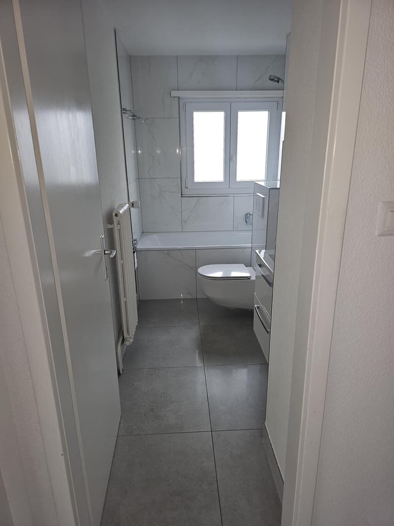 3 ½ Zimmer-Wohnung, 4663 Aarburg (3)