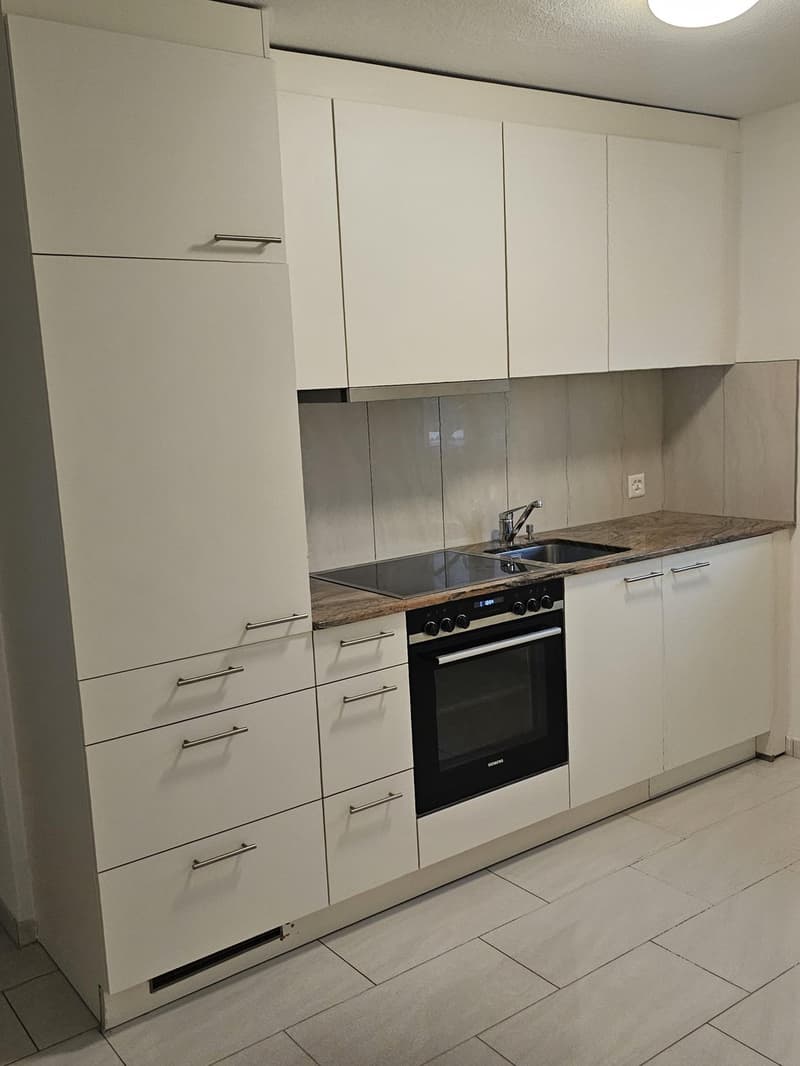 2 ½ Zimmer-Wohnung, 4663 Aarburg (3)
