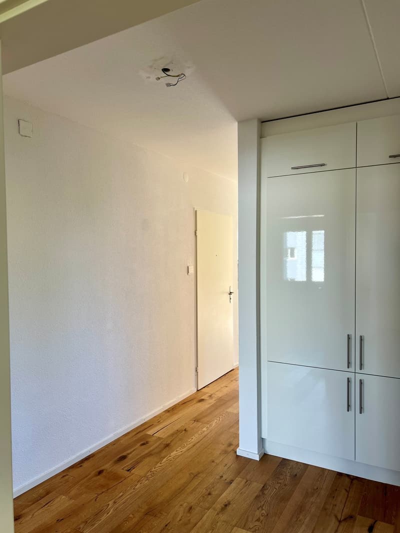 3 ½ Zimmer-Wohnung, 9532 Rickenbach (3)
