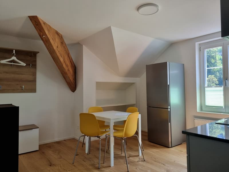 2 Zimmer-Wohnung, 7000 Chur (4)