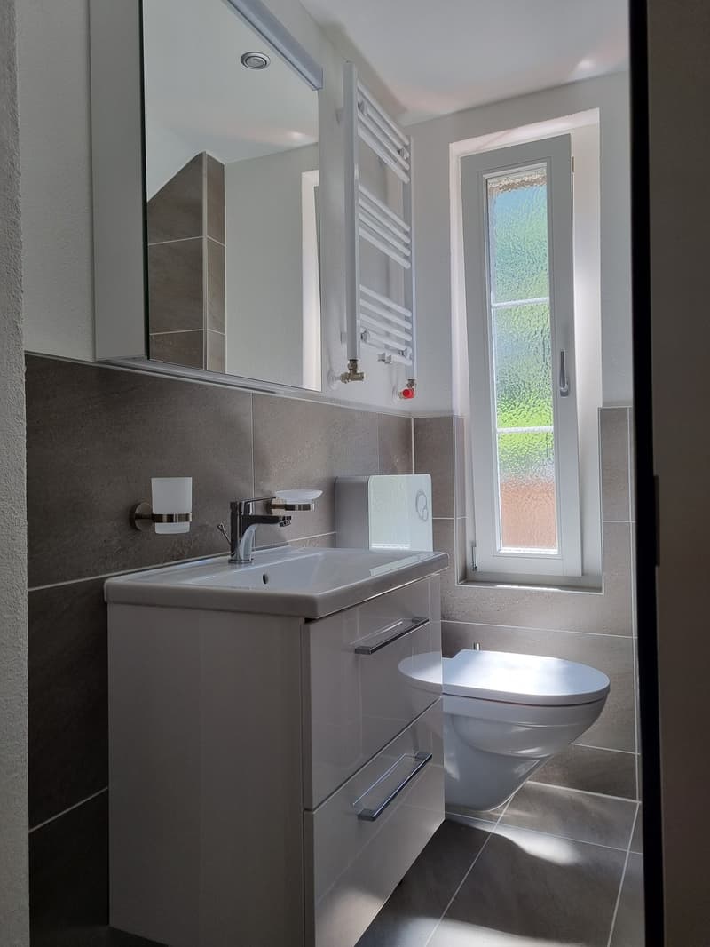 2 Zimmer-Wohnung, 7000 Chur (6)