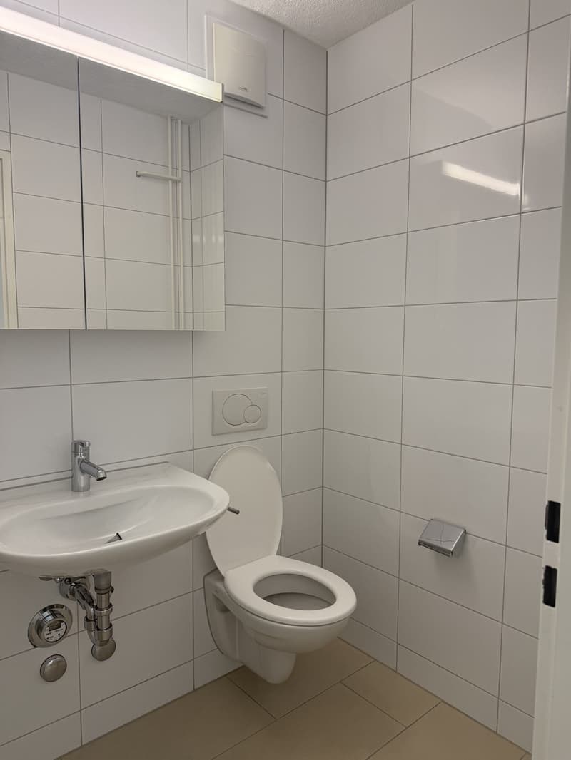 Attraktive 2.0-Zimmerwohnung mit Balkon in Langwiesen (4)
