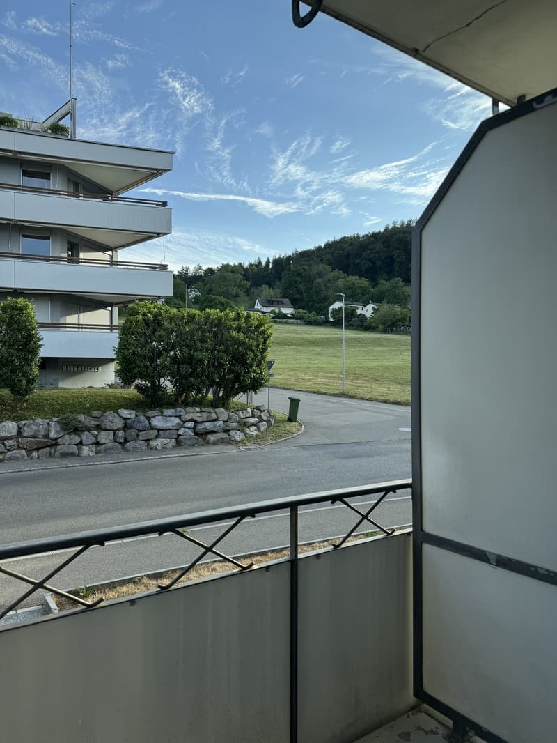 3.5-Zimmer-Wohnung im Hochparterre an zentraler Lage in Stäfa (7)