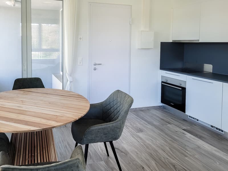 gemütliche 1,5-Zimmerwohnung (4)