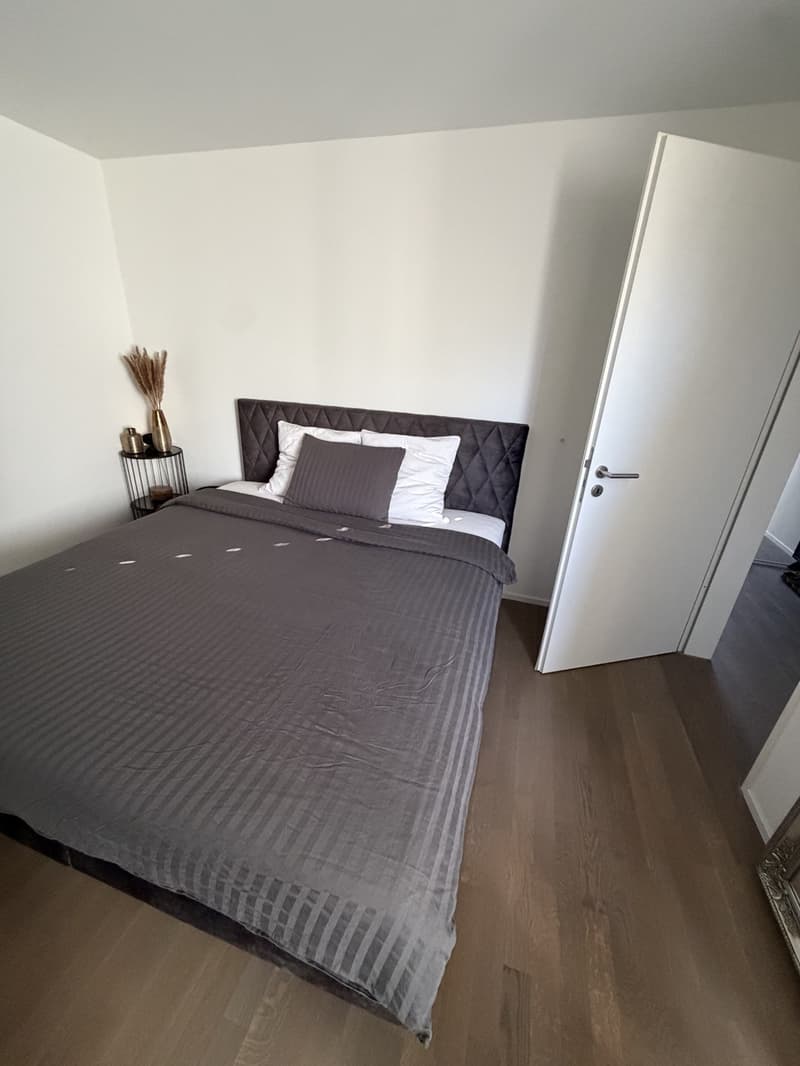Moderne 2.5-Zimmer-Wohnung mit Balkon in Wallisellen mieten (4)