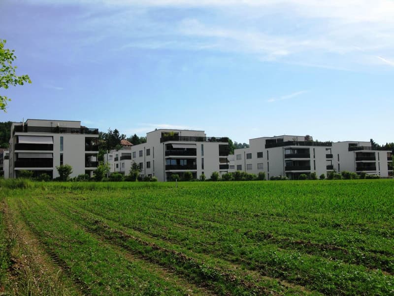 Wohnen, wo Komfort und Lebensqualität sich treffen - Ihre Traumwohnung in Wiesendangen! (1)