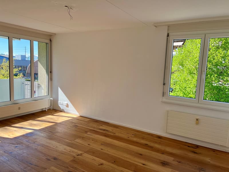 4 ½ Zimmer-Wohnung, 9532 Rickenbach (2)