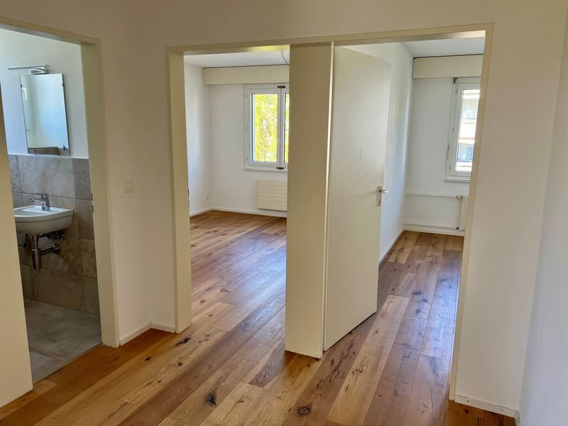 4 ½ Zimmer-Wohnung, 9532 Rickenbach (5)