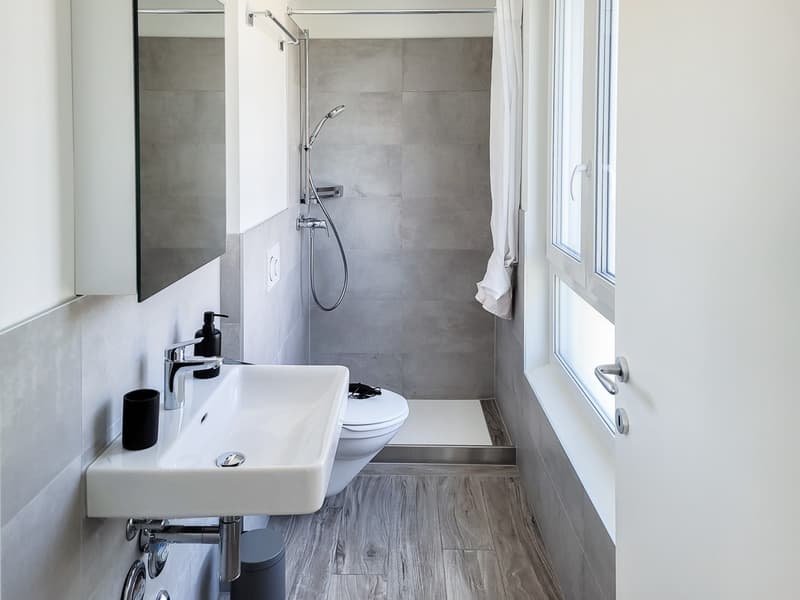 1 ½ Zimmer-Wohnung, 5210 Windisch (3)