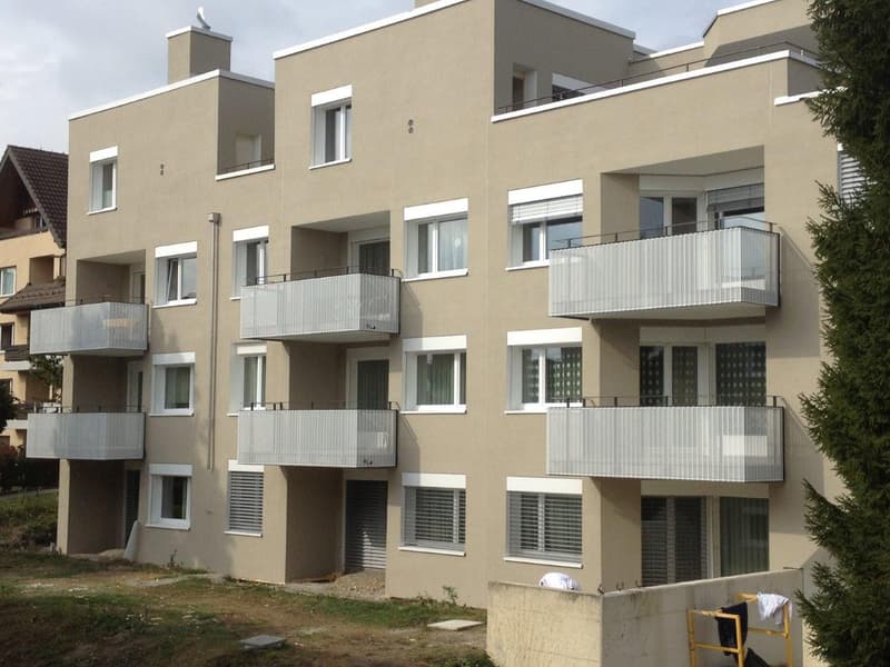 4 ½ Zimmer-Wohnung, 8049 Zürich (1)