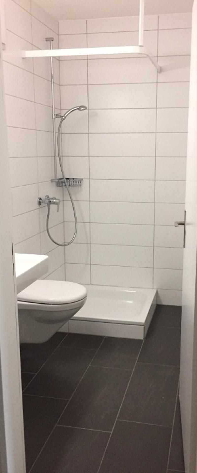 4 ½ Zimmer-Wohnung, 8049 Zürich (6)
