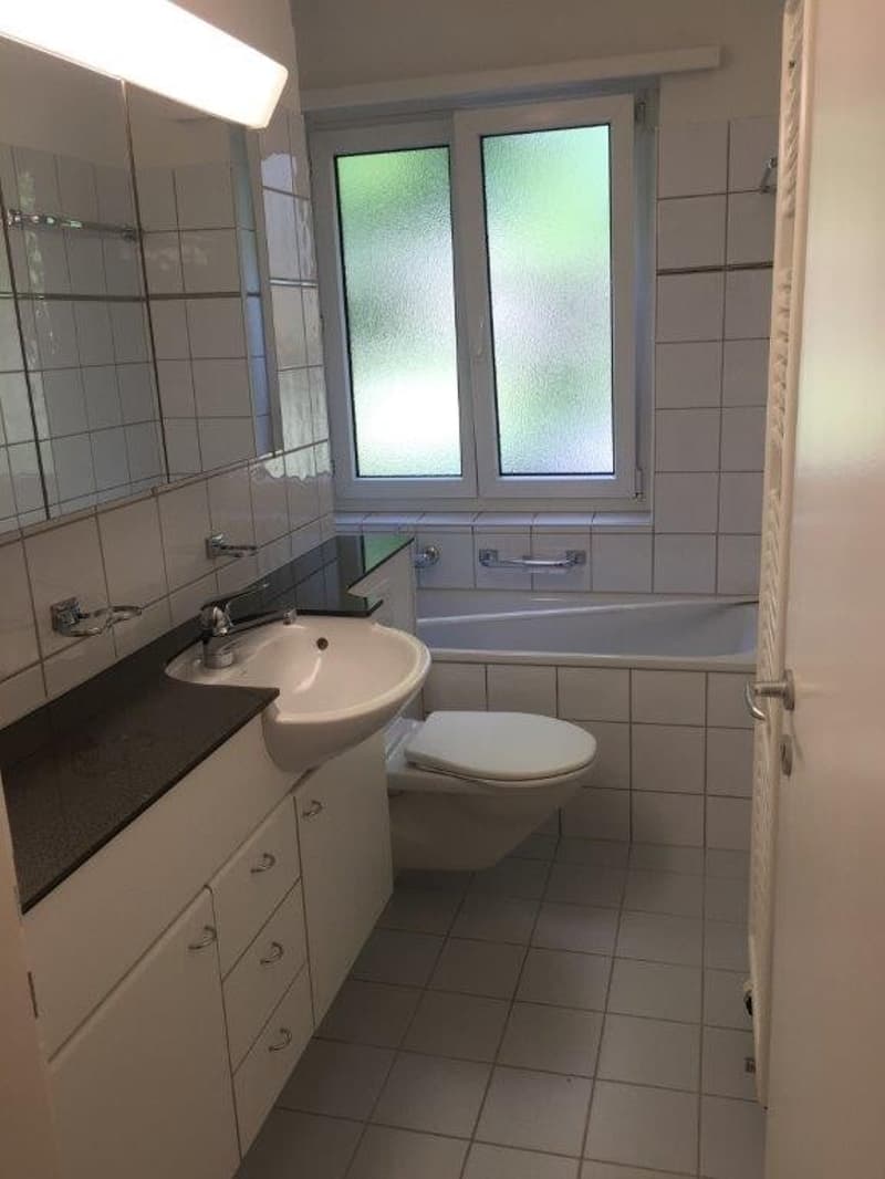Attraktive 3-Zimmer-Wohnung an guter Lage in Horgen (5)