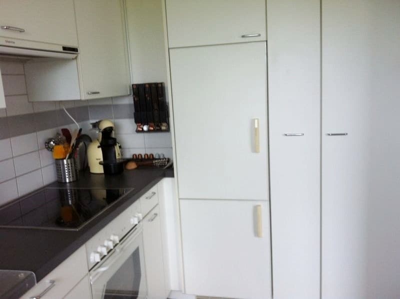 Grosszügige 4.5-Zimmer-Wohnung in Winterthur (3)