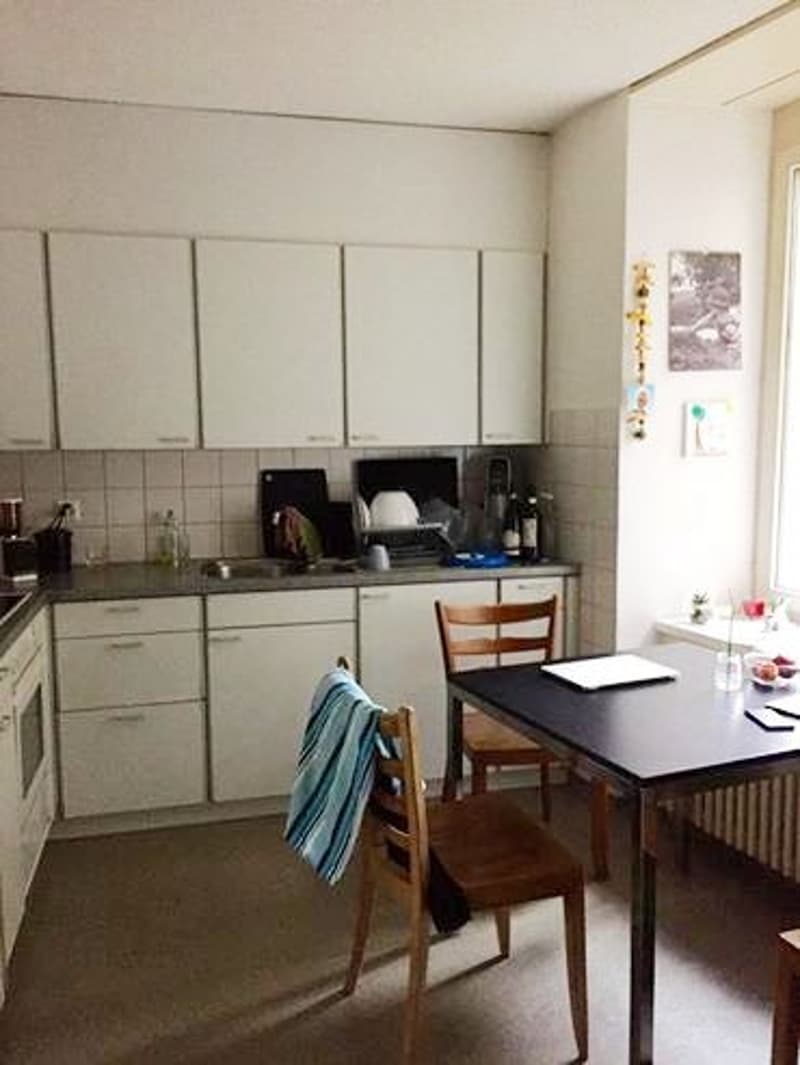 BEFRISTET - Zentral in Zürich-Wipkingen (4)