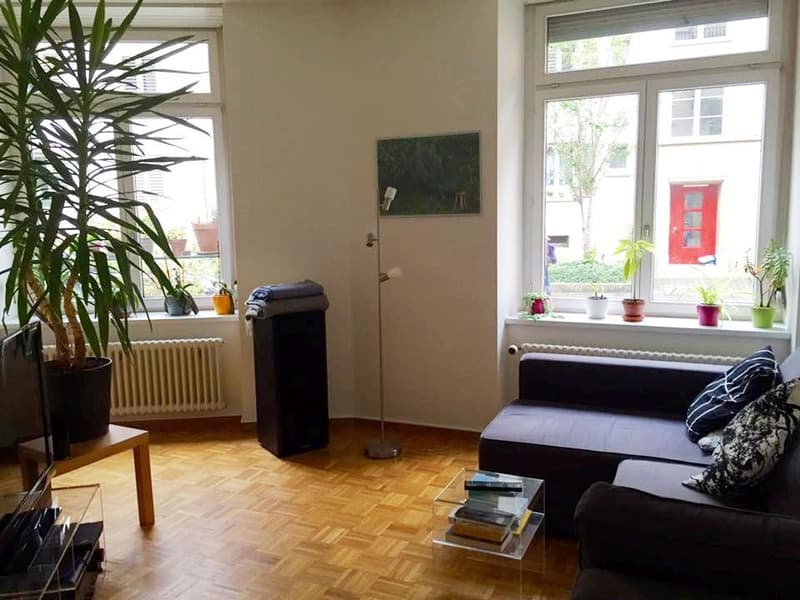 BEFRISTET - Zentral in Zürich-Wipkingen (2)