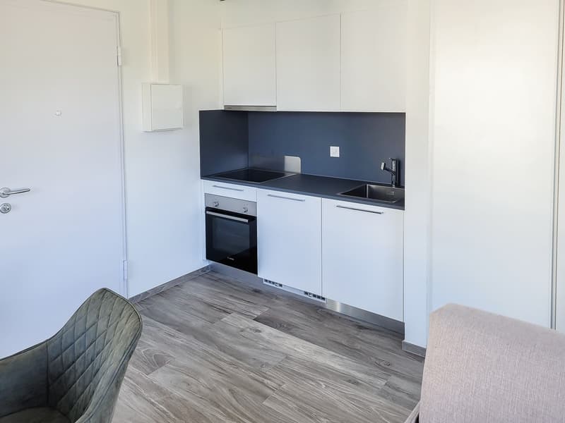 1 ½ Zimmer-Wohnung, 5210 Windisch (4)