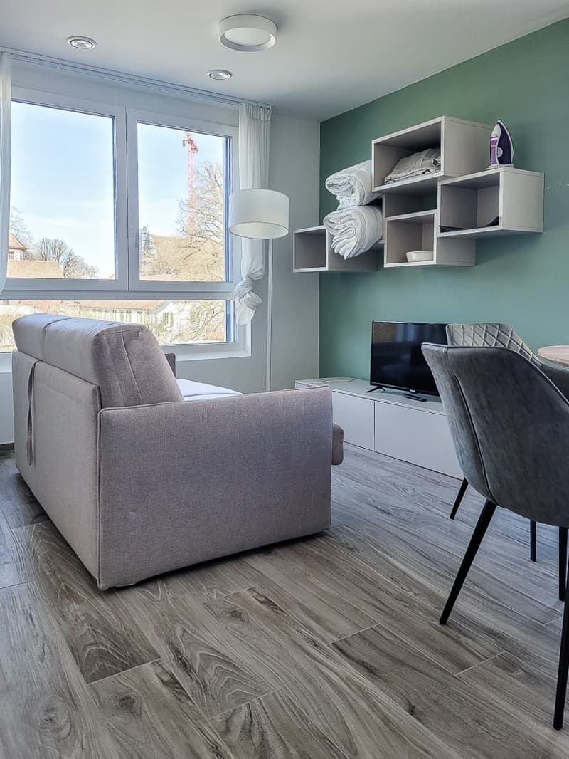 1 ½ Zimmer-Wohnung, 5210 Windisch (2)