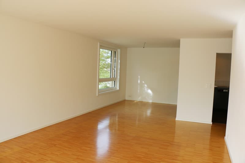 Attraktive 4.5 Zimmer-Wohnung an ruhiger Lage in Oberwinterthur (4)