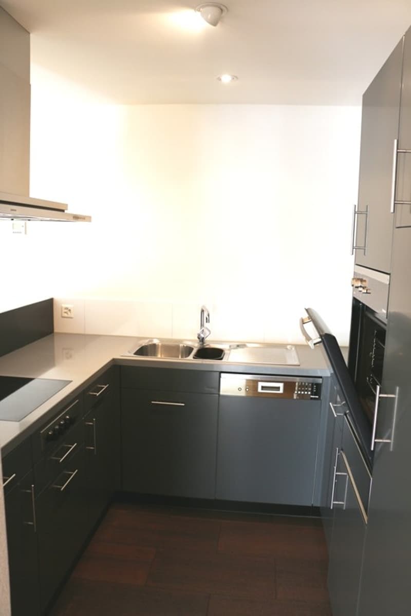 Attraktive 4.5 Zimmer-Wohnung an ruhiger Lage in Oberwinterthur (5)