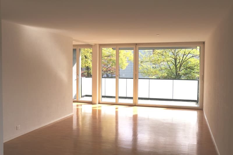 Attraktive 4.5 Zimmer-Wohnung an ruhiger Lage in Oberwinterthur (3)