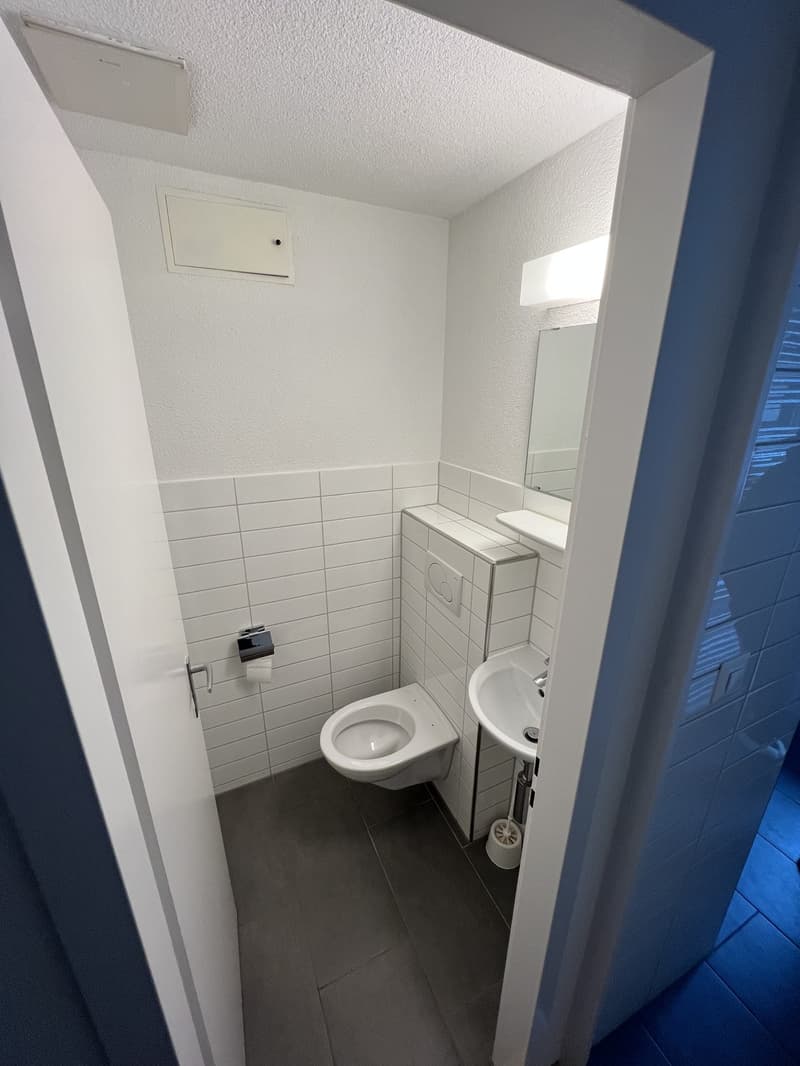 Wohnen mit Weitblick: 4.5-Zimmer-Wohnung in Adlikon mit grosszügiger Terrasse (8)