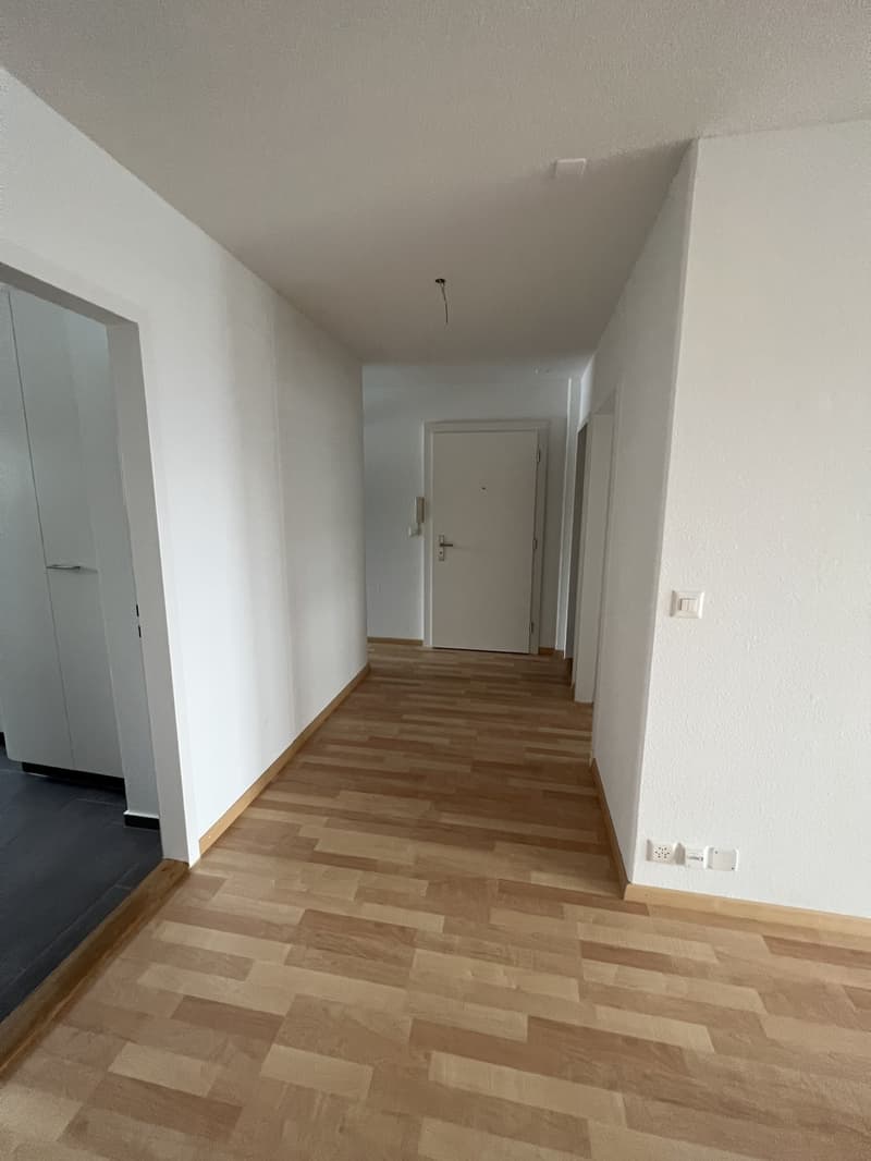 Wohnen mit Weitblick: 4.5-Zimmer-Wohnung in Adlikon mit grosszügiger Terrasse (5)