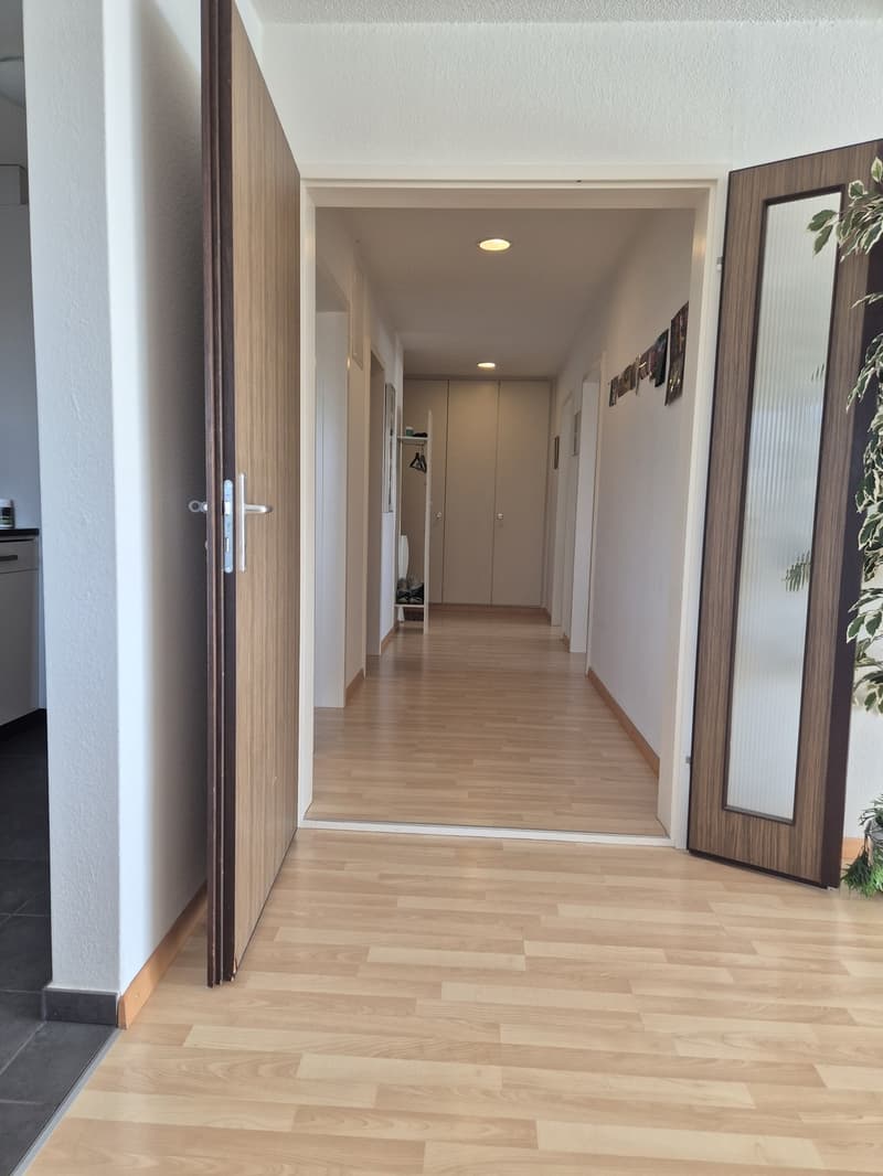 3 ½ Zimmer-Wohnung, 8630 Rüti ZH (6)