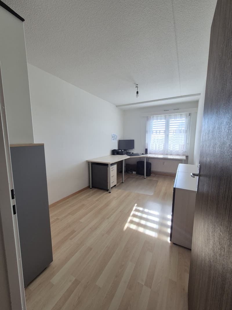 3 ½ Zimmer-Wohnung, 8630 Rüti ZH (8)