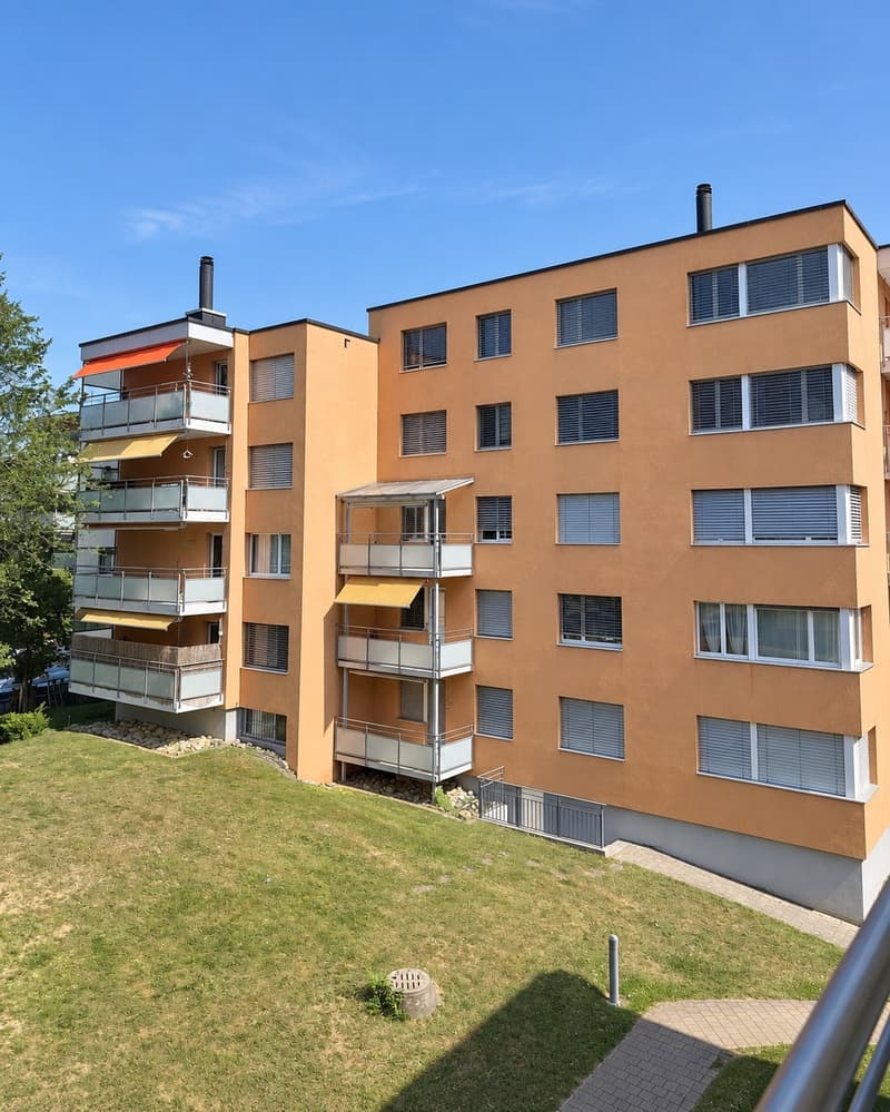 Wohnen mit viel Platz 3.5-Zimmerwohnung in Langwiesen (1)