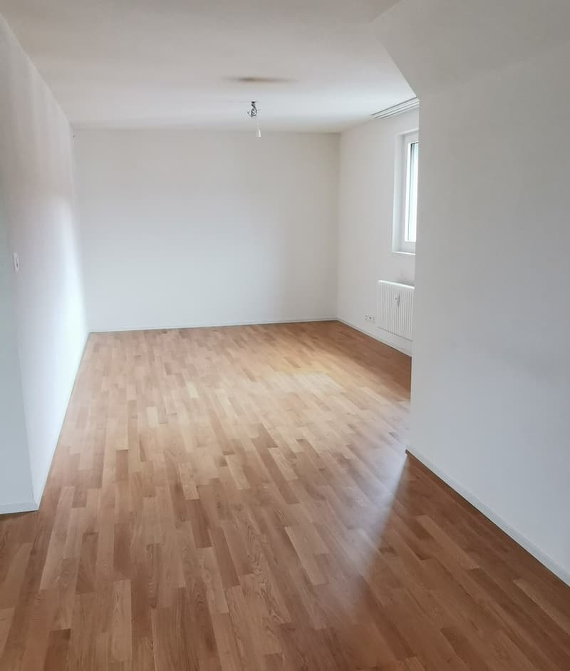 Charmante 2.5-Zimmer-Wohnung an ruhiger Lage in Winterthur (4)