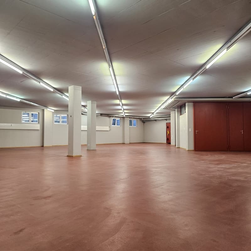 Grosszügige Lagerfläche zu vermieten (4)