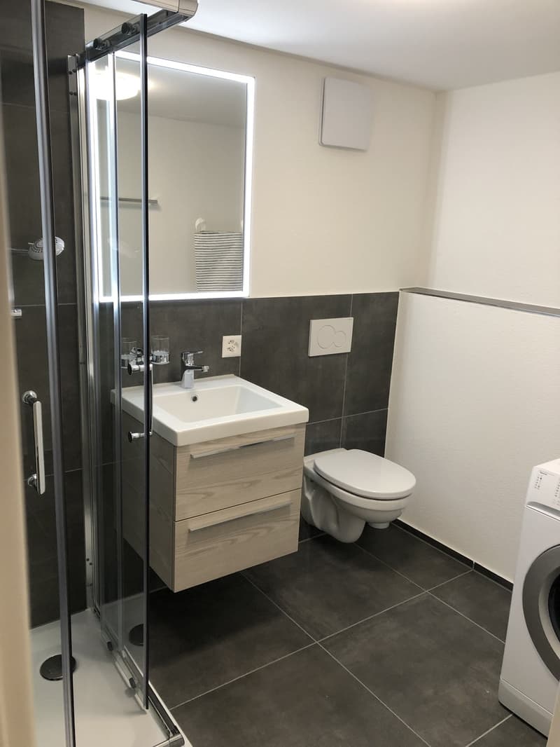 1 ½ Zimmer-Wohnung, 9008 St. Gallen (4)